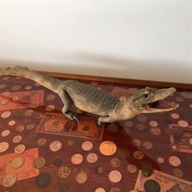 Taxidermy crocodile on MCM coin  collectors table