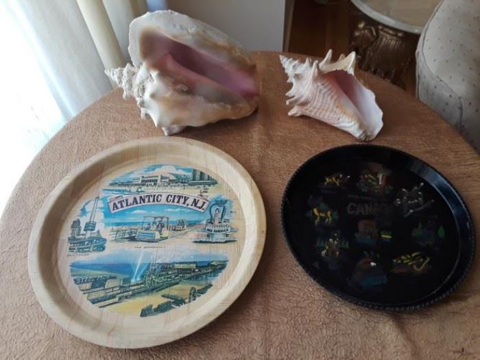 Shells and plates