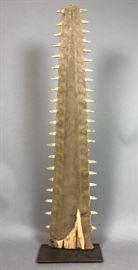 Lot 348 Natural Sawfish Saw Specimen. Mounted on custom i