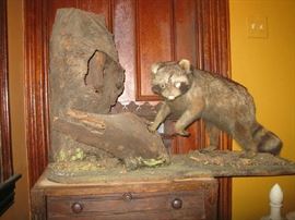 Looks who's coming to dinner