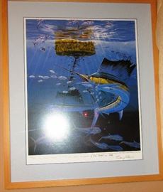 Lane bill fish picture