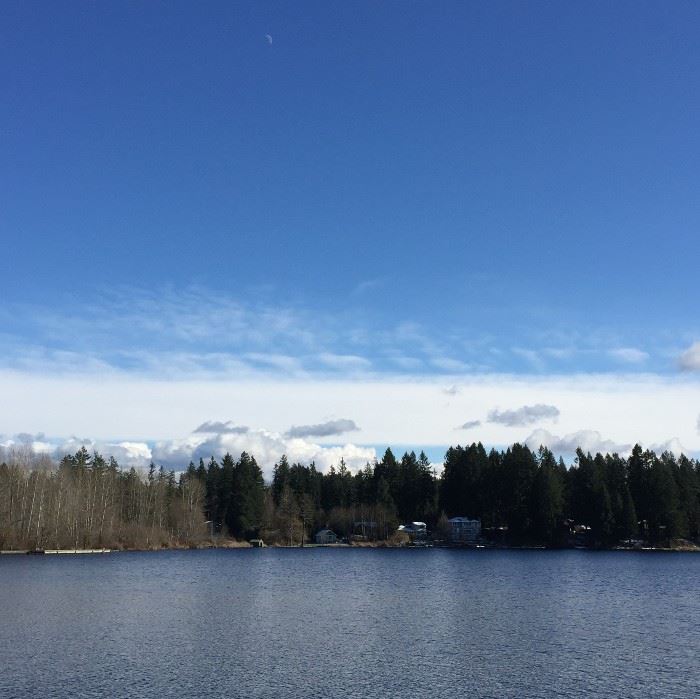 Cottage Lake (Woodinville ) -- You'll see this gorgeous view when you attend our Cinco de Mayo Estate Sale!