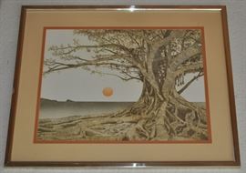 Framed, cannot find a signature.