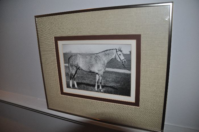 Wonderful black and white horse picture triple matted and framed. 