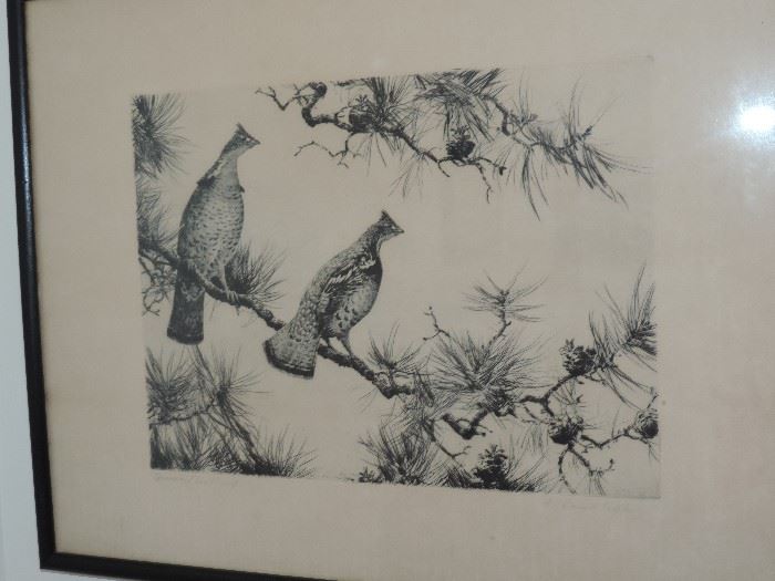 Ripley Engraving - pencil signed "Grouse on Pine Branches" 
