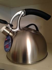 Brand new stainless tea kettle