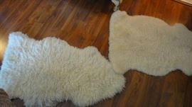 Sheep skin rugs