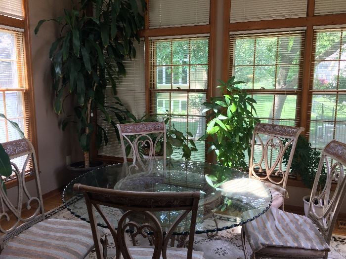 Nebraska Furniture Mart Round glass table, Live house plants 