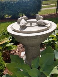 Cement Bird Bath