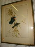 Art Print Birds