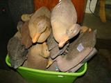 Plastic Duck Decoys