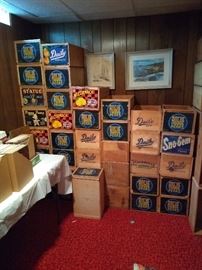 Large Selection of Fruit Crates