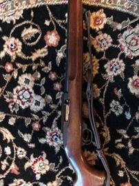 Ruger .22 Rifle