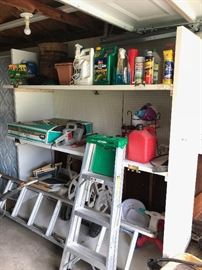 YARD CHEMICALS / FLOWER POTS / LADDERS