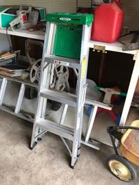 YARD CHEMICALS / FLOWER POTS / LADDERS