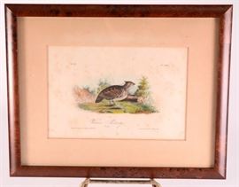 Lot 74: Audubon "Welcome Partridge" Print