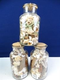 Vases Filled w Shells Decor