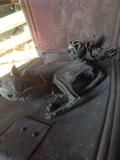 MUMMIFIED CAT
