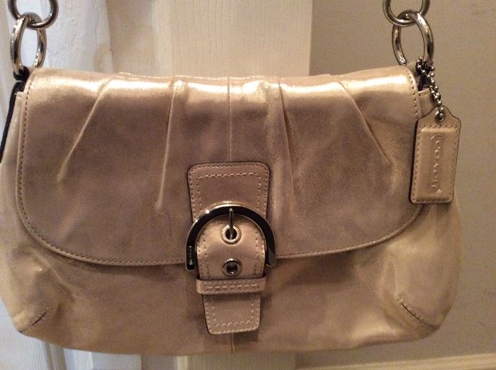 Leather brilliance Coach purse