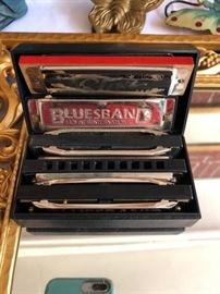 harmonica set 