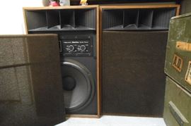 Large size Realistic Mach 1 speakers.  Working.