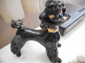 Large Black Spaghetti Poodle 