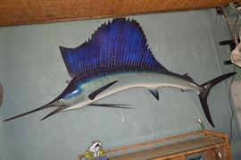 9 foot sail fish
