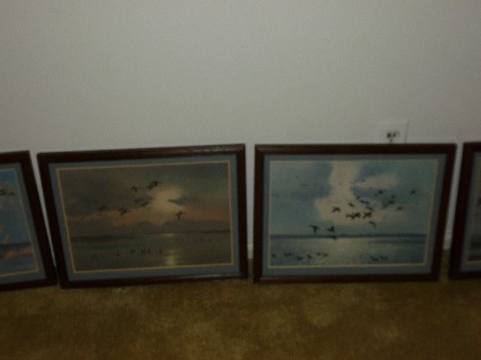 More ducks