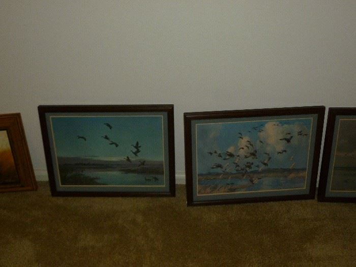 Ducks