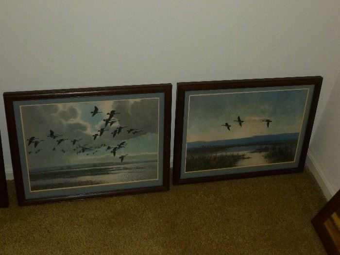 More ducks