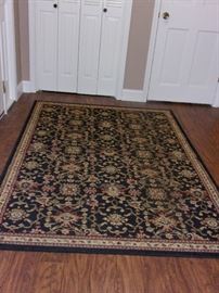 Beautiful clean large area rug