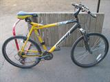 bicycles