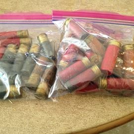 Shotgun shells