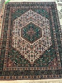 5’9” x 4’1” area rug