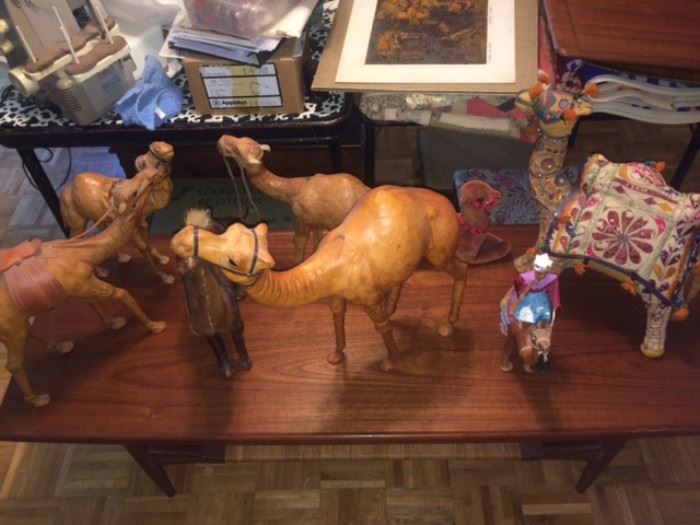 part of the camel collection