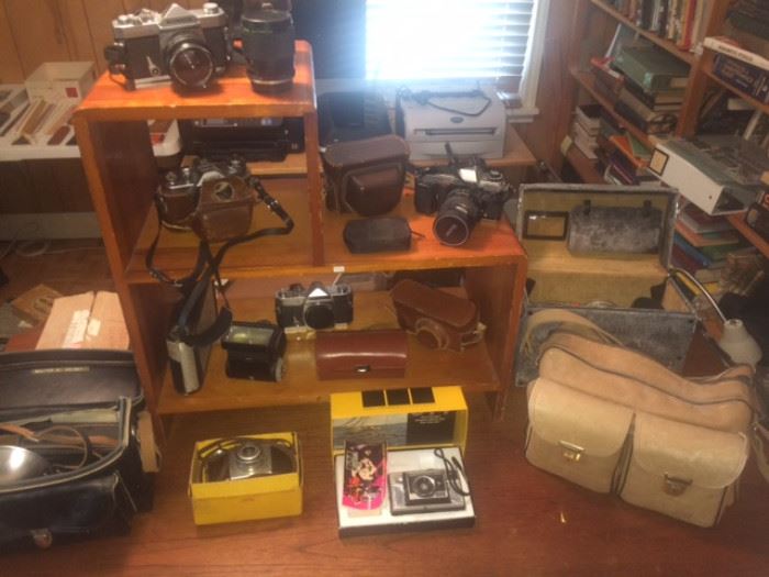 Nice selection of vintage cameras