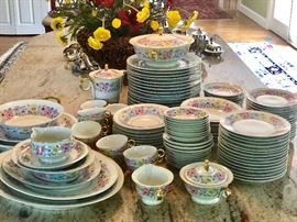 Haviland's Cornflower