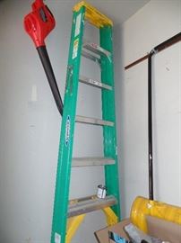 alum ladder