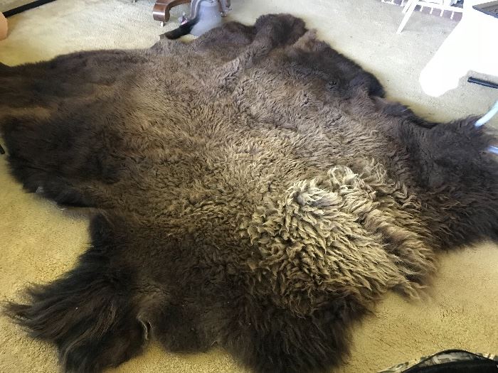 Buffalo Hide- Approximately 78” long by 77” wide give or take an inch or two. 