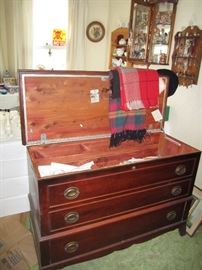 Blanket chest with drawer