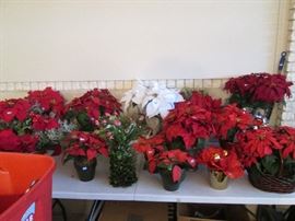 Over 6 Tables of Christmas Decor, shops early for great bargains!