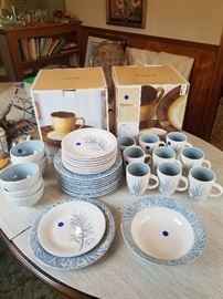 pfaltzgraff every day dish set