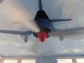 Airplane ceiling fans