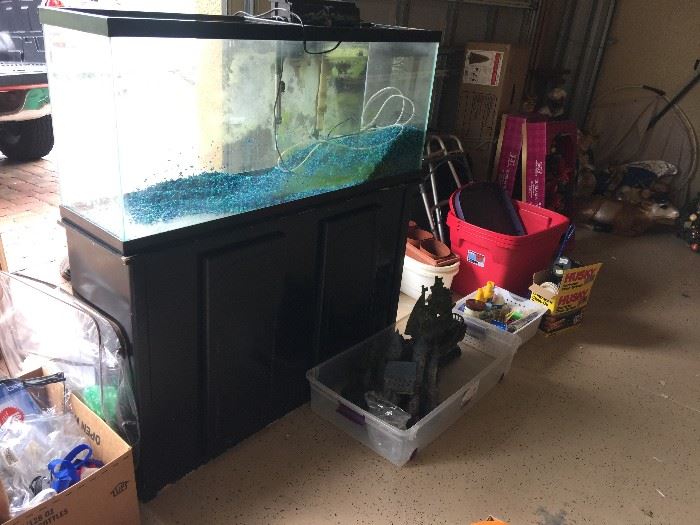 55 Gallon Tank