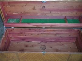 Interior of the chest