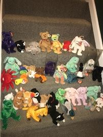 These are a sample of the numerous Beanie Babies available. Most of the ones in this picture have a much higher value then the common ones.