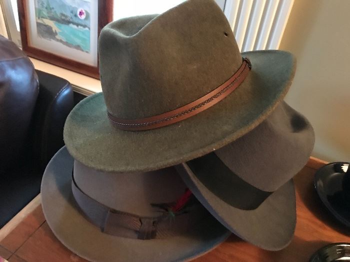 Men’s fedora style hats 