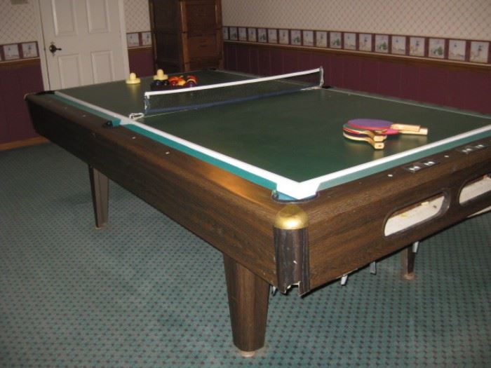 Pool table/Ping Pong