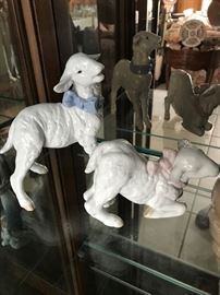 Baby Boy and Baby Girl Lamb