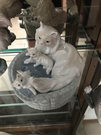 LLadro Kitty Care